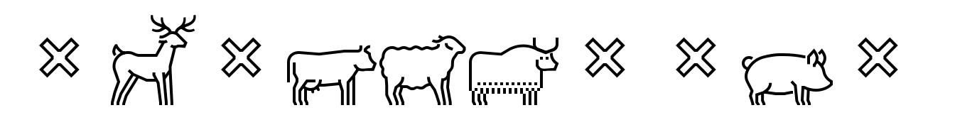 Square Line Icons Animals Animals